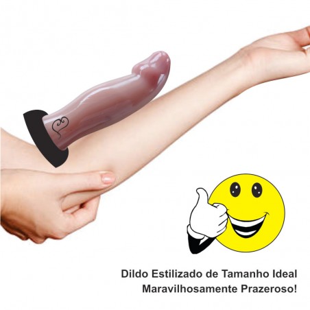 Pênis Estilizado Avatar Delicia Easy Dildo 16 cm X 3,9cm inNamorata Love