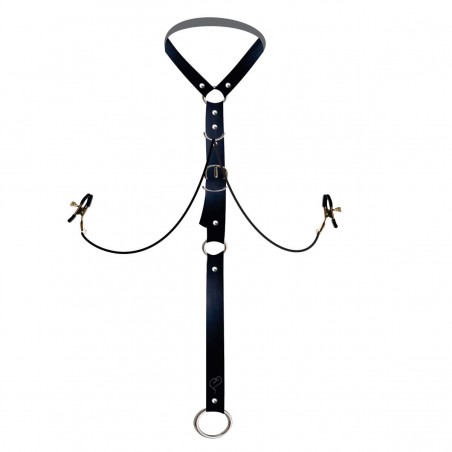 Harness Clips Pinça no Mamilos e Argola Escrotal BDSM