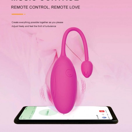 Vibrador Bullet Nicole Com Controle APP music inNamorata Orgasmos Múltiplos  Recarregável