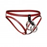 Cueca Aberta Com Duplo Anel Metálico Sexy Jockstrap Especial Ousada Picante