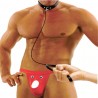 Cueca e Coleira Jockstrap Sexy Comb Especial Dominador Ousado Picante